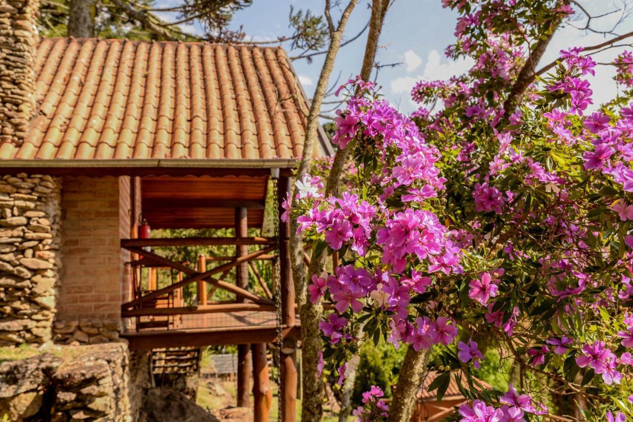 Chalés Araucária e Manacá São Bento do Sapucaí Exterior foto