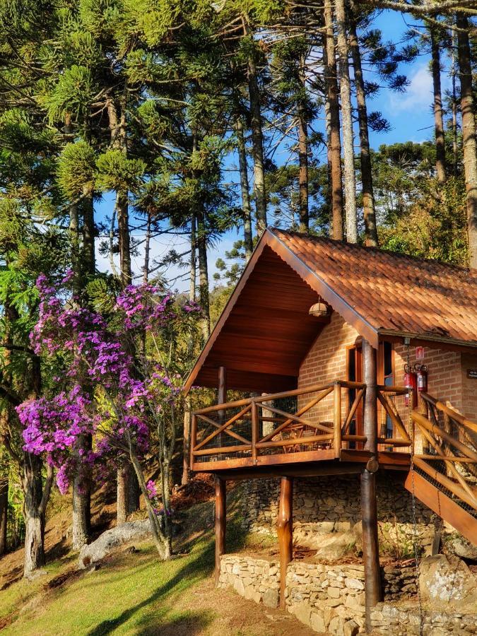 Chalés Araucária e Manacá São Bento do Sapucaí Exterior foto
