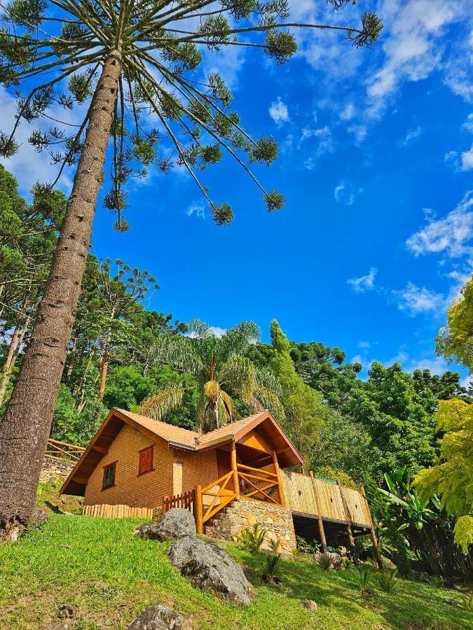 Chalés Araucária e Manacá Villa São Bento do Sapucaí Exterior foto