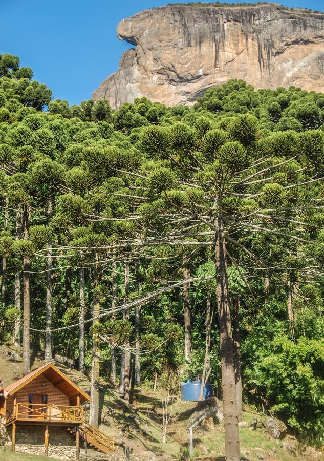 Chalés Araucária e Manacá Villa São Bento do Sapucaí Exterior foto