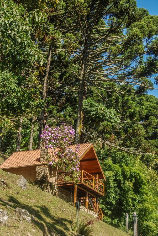 Chalés Araucária e Manacá São Bento do Sapucaí Exterior foto